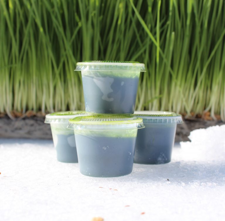 Frozen Wheatgrass Juice