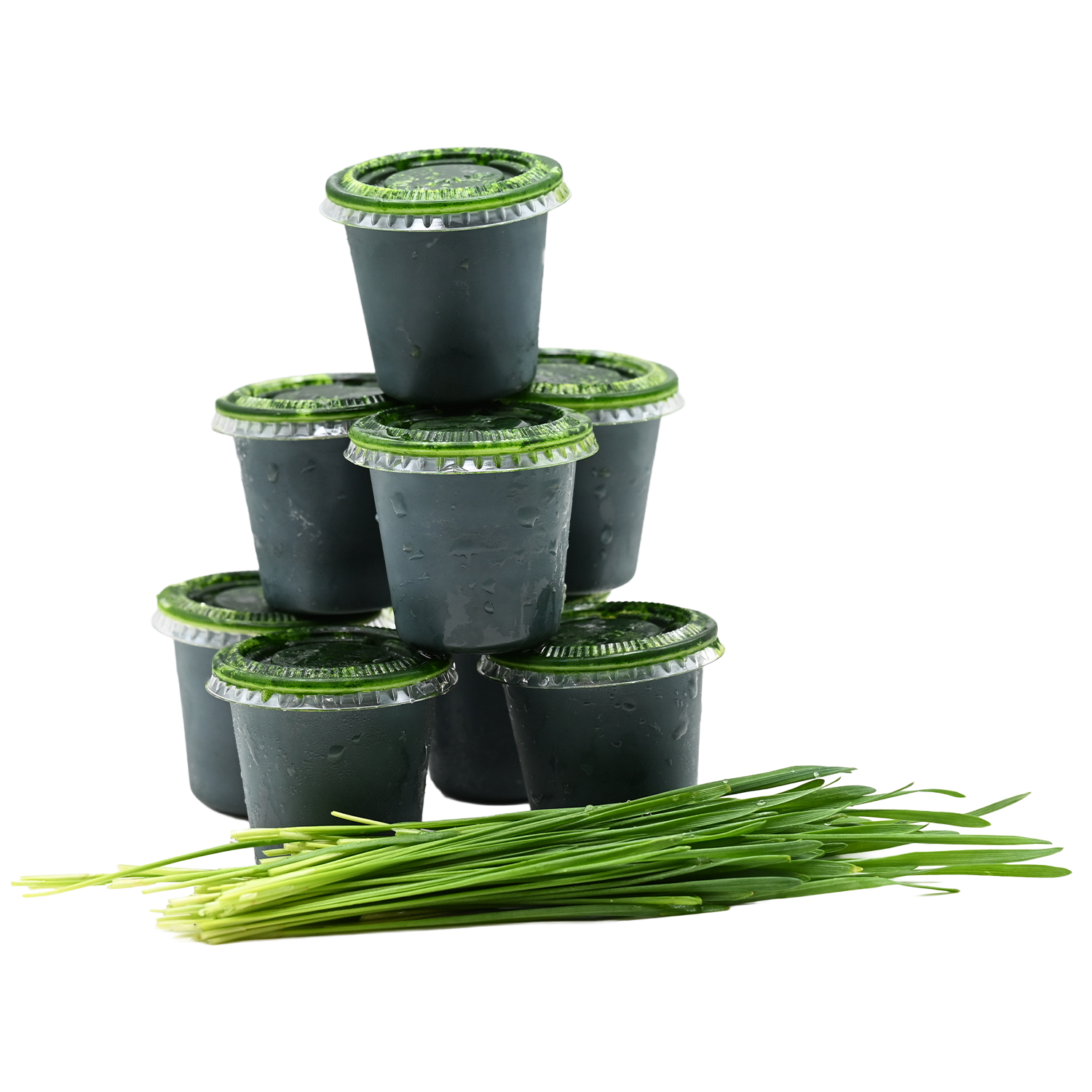 Frozen Wheatgrass Juice 1 Frozen Wheatgrass Juice Stacked with wheatgrass