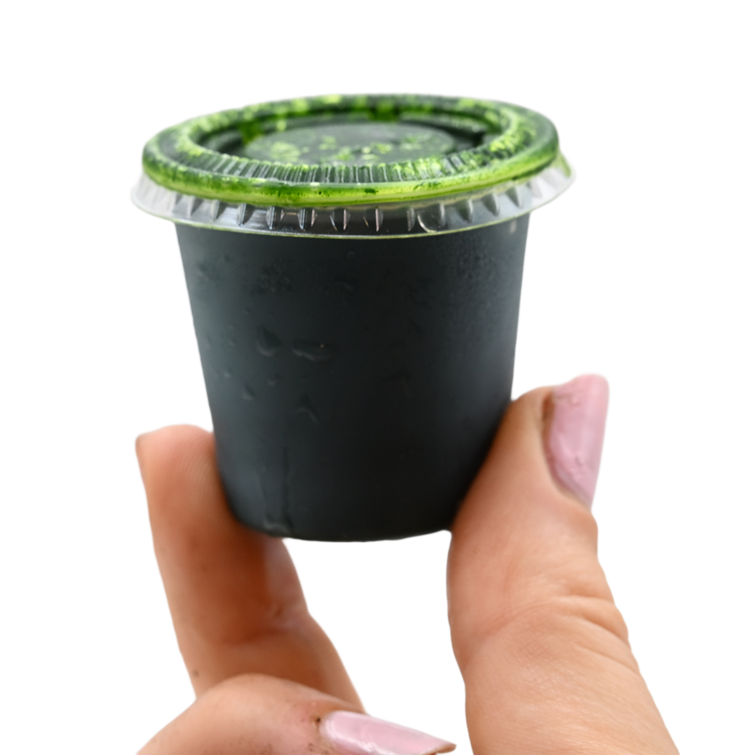 Frozen Wheatgrass Juice 2 Frozen Wheatgrass Juice Shot