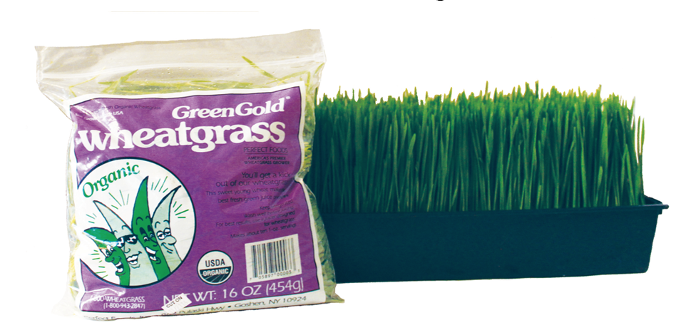 Wheatgrass good clearance for you