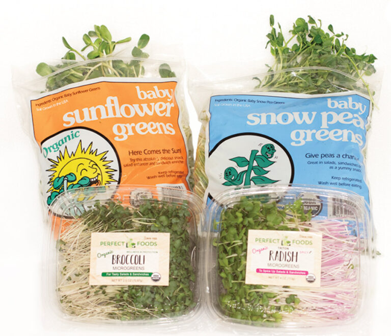 Microgreen Starter Package - Fresh, Organic | 800wheatgrass.com