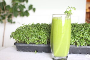 broccoli smoothie