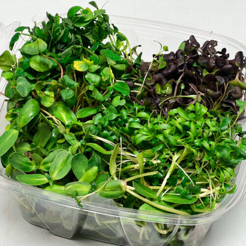 microgreens subscription