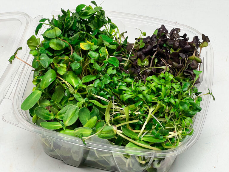 getting started 2 microgreens subscription