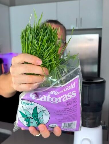 Wheatgrass Challenge 1 Screen Shot 2026 03 24 at 1.07.21 PM