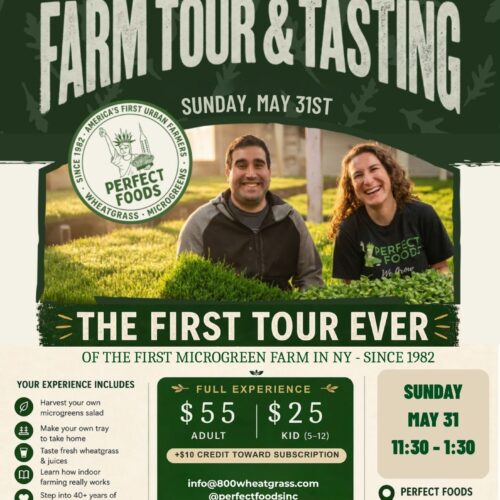 Wellness Farm Tour & Tasting -  Harvest Your Own Small Salad